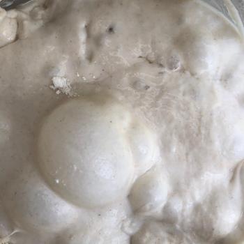 La Chilean Frenchie recipe