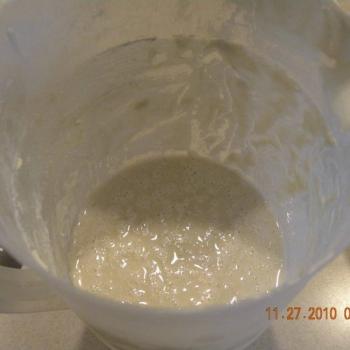 Lactobacillus  Woodland top shot