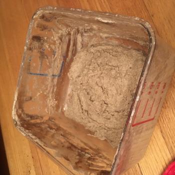 Levain on a Prayer top shot