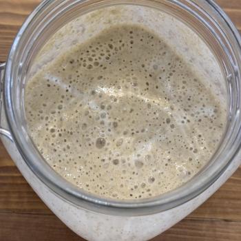 Levain sourdough jar shot
