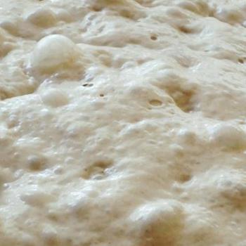 Levain recipe