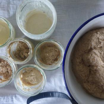 manna sourdough top shot
