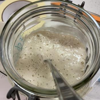 Martha Dibblee's Northwest Sourdough starter recipe