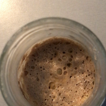 Merlin jar shot