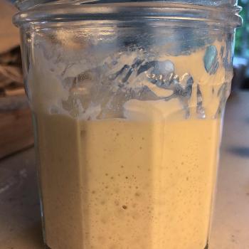 Miss Cheerilee recipe