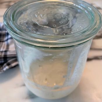 Organic Einkorn and Rye Starter 2022 recipe
