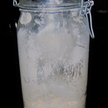 Panem fermentatum recipe