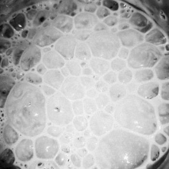 Perla recipe