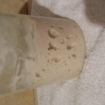 redcat recipe