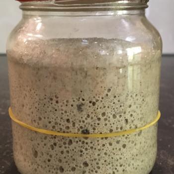 Roggedesem recipe