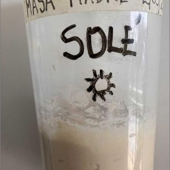 SOLÉ recipe