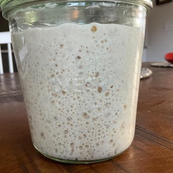 Sophie recipe