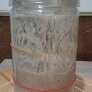 sourdough jar shot
