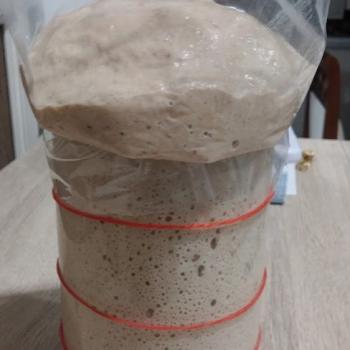 sourdough recipe