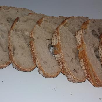 Spelt Sourdough front shot