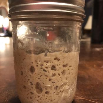 Sponge Blob Sourdough pants recipe