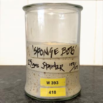 "SPONGEBOB" recipe
