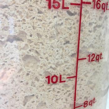 sprouted sourdough recipe