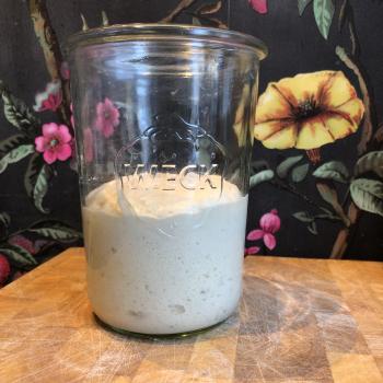 Stef recipe