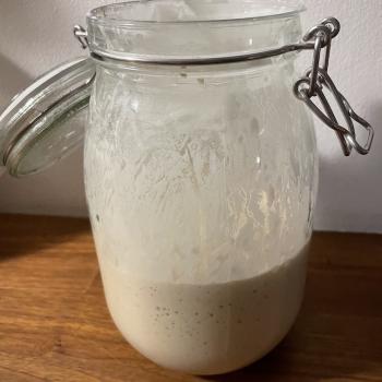 Stewart recipe