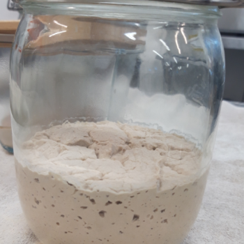 Teff recipe