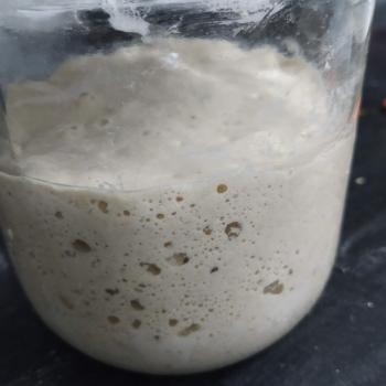Tej's Magic recipe