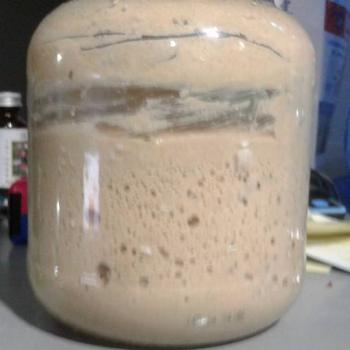 The Yeasty Boys jar shot