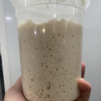 Tony Peroni recipe