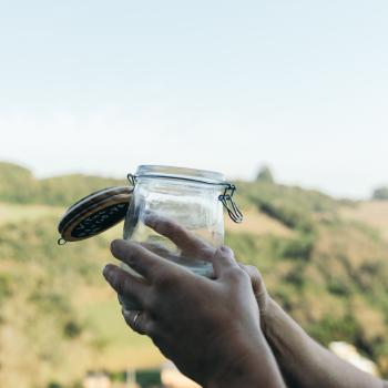 Vitus Caxias do Sul recipe