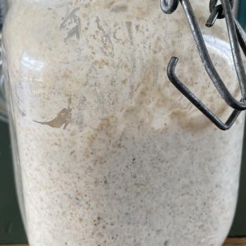 Zoja2018 recipe